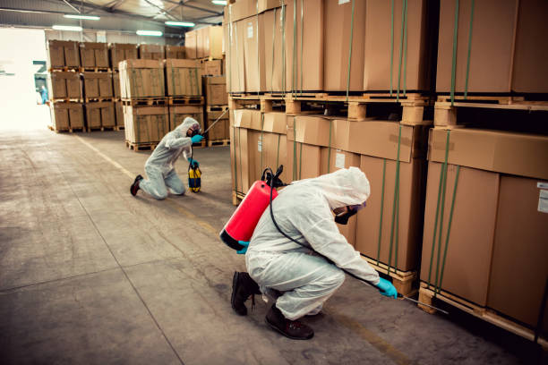 Reliable Garden City Park, NY Pest Control Solutions
