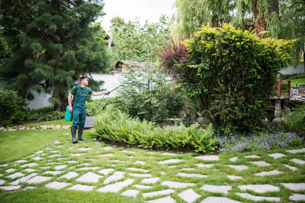 Best Best Pest Control Companies  in Garden City Park, NY