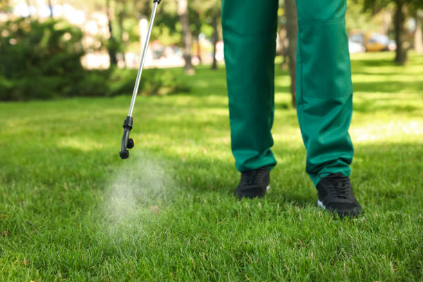 Best Rodent Control Near Me  in Garden City Park, NY