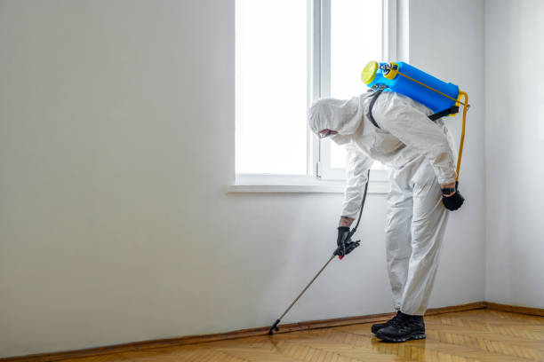 Best Affordable Pest Control Services  in Garden City Park, NY