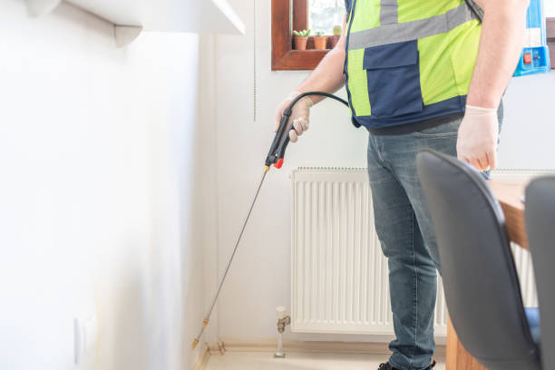Best Ant Control Services  in Garden City Park, NY