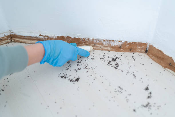 Best Best Pest Control Companies  in Garden City Park, NY