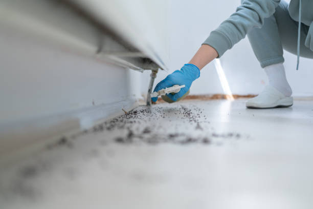 Best Wasp Removal Services  in Garden City Park, NY